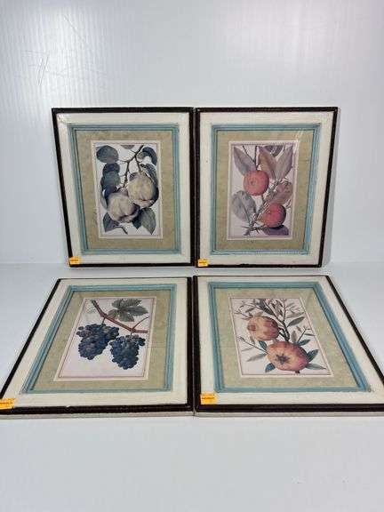 (4) Unmarked Fruit Framed Prints