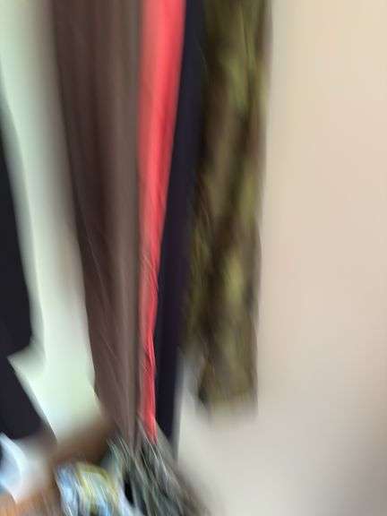 CONTENTS OF CLOSET INCLUDING CLOTHES, HANGERS, LAMP, MONEY BOX, TOTE/CONTENTS