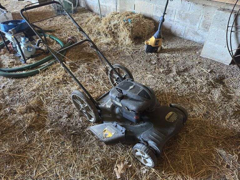 Briggs & Stratton Push Lawnmower