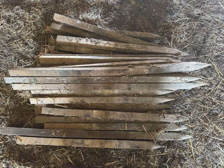 Wooden Spikes