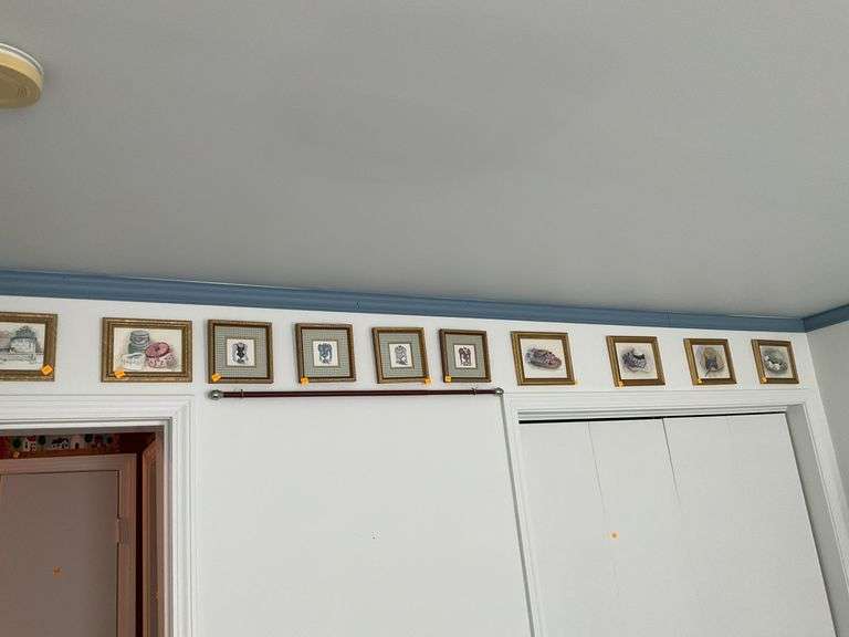 (11) Decorative Pictures