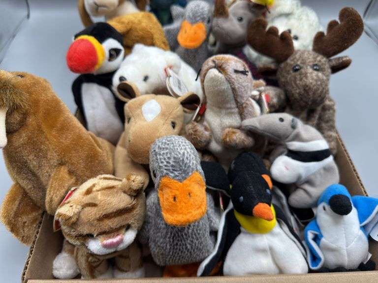 VARIETY OF BEANIE BABIES WITH TAGS
