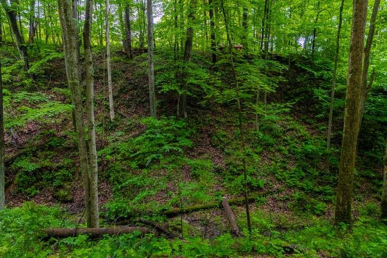 12 Acres