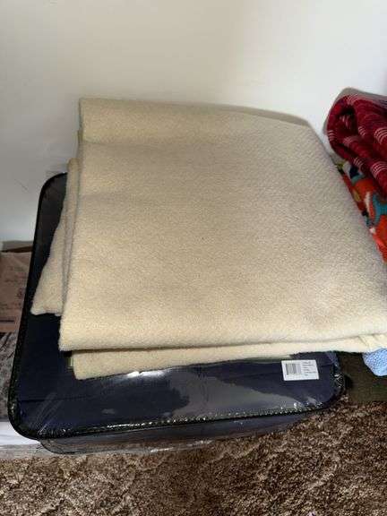 CONTENTS OF CLOSET INCLUDING CLOTHES (BOTH NEW AND BARELY WORN, BLANKETS, ALL PICTURED ITEMS