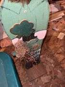 St. Patrick’s Day Decor