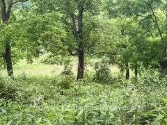 Marion County WV Home, Shop, Garage on 9+/- Acres