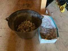 Metal Pot, Decorative Rocks