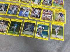 1991 Fleer Baseball Cards