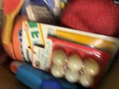 SPORTS BALLS, WATER GUNS, PING PONG ACCESSORIES, AND MORE