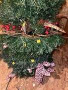 Assortment of Christmas Wreaths