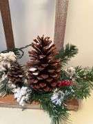 PRE-LIT CHRISTMAS CARDINAL DECOR