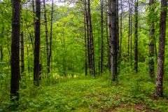 12 Acres