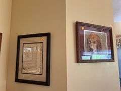 (2) Framed Pictures