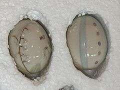 Lenox Ceramic Easter Egg Set