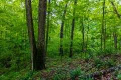 12 Acres