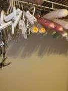 Assortment of Hangers