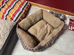 Dog beds, dog bowls, and dog outfit