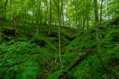 12 Acres