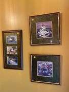 (3) Framed Bird Prints