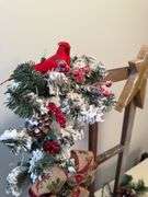 PRE-LIT CHRISTMAS CARDINAL DECOR