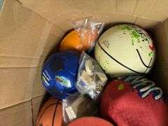 SPORTS BALLS, WATER GUNS, PING PONG ACCESSORIES, AND MORE