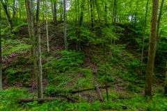 12 Acres