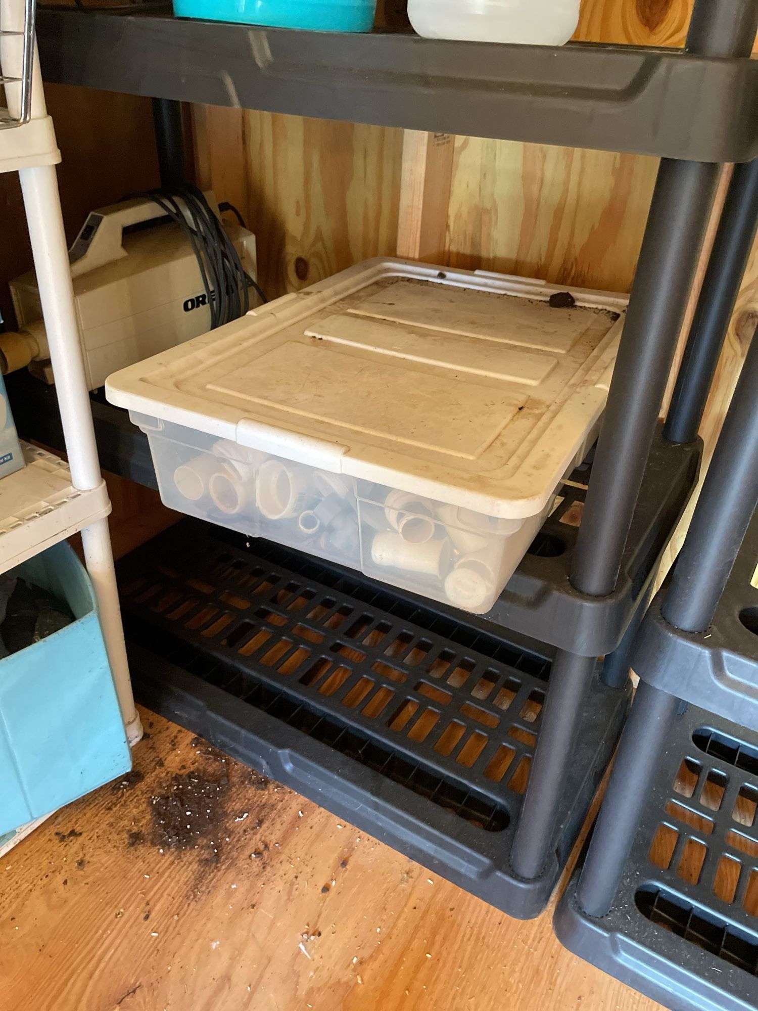 SINGLE PLASTIC SHELF AND ALL CONTENTS ON SHELVING