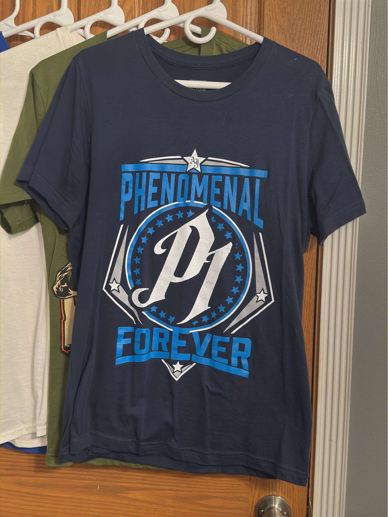 (5) Pro Wrestling Shirts (Size M)