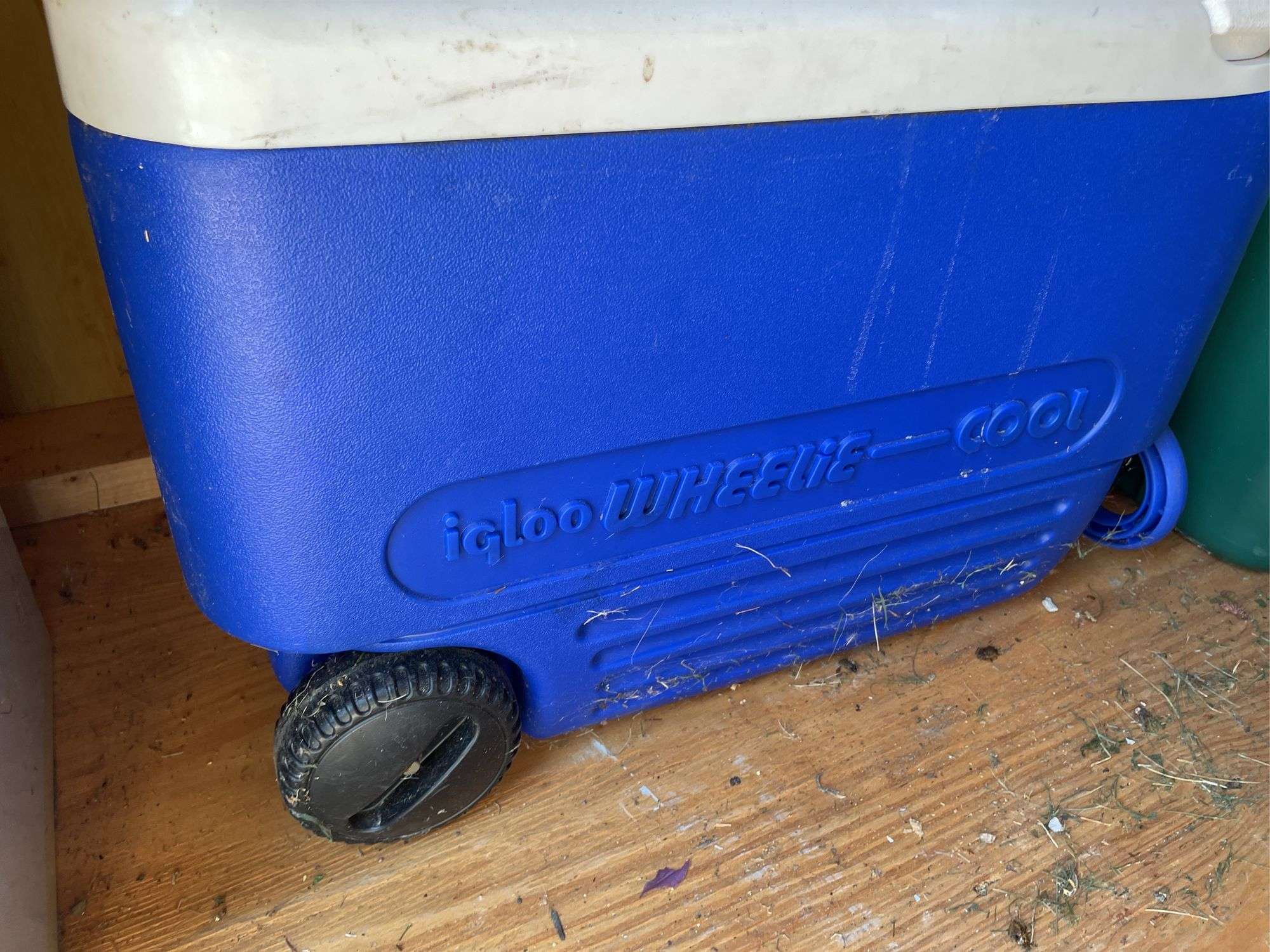 ROLLING IGLOO COOLER CHEST