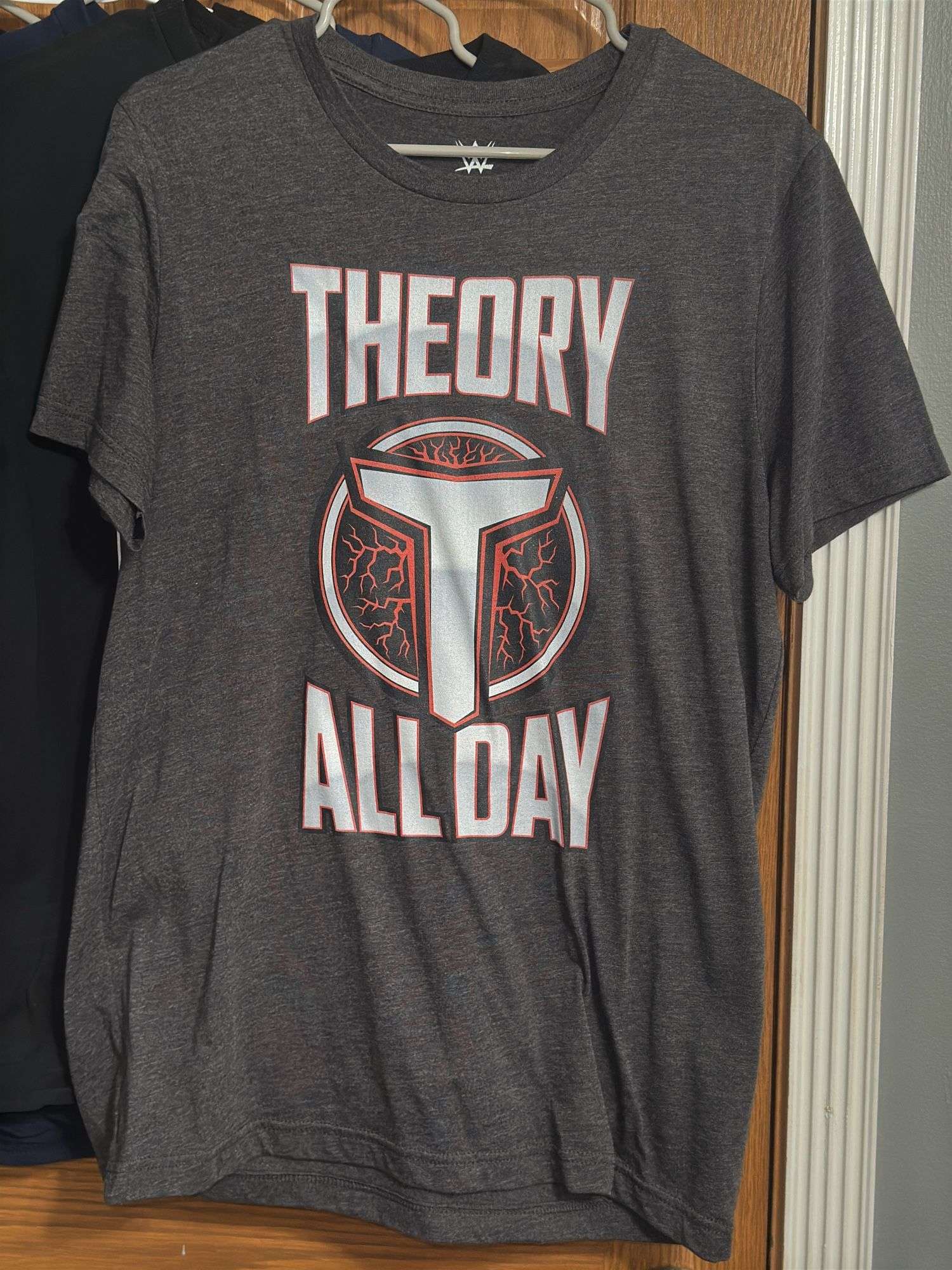 (5) Pro Wrestling Shirts (Size M)