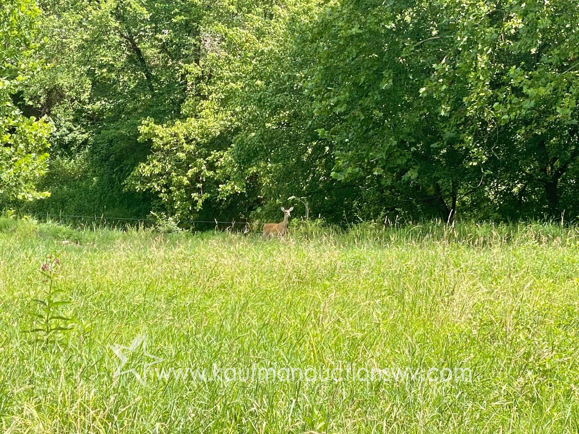 97.89 +/- Acres | 3 Bedroom, 2 Bath Home