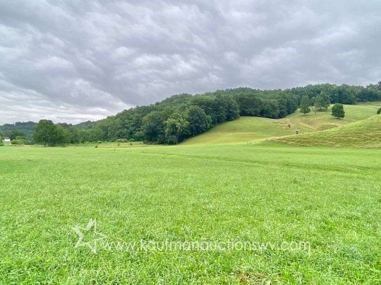 82 +/- Acre Lewis County Farm