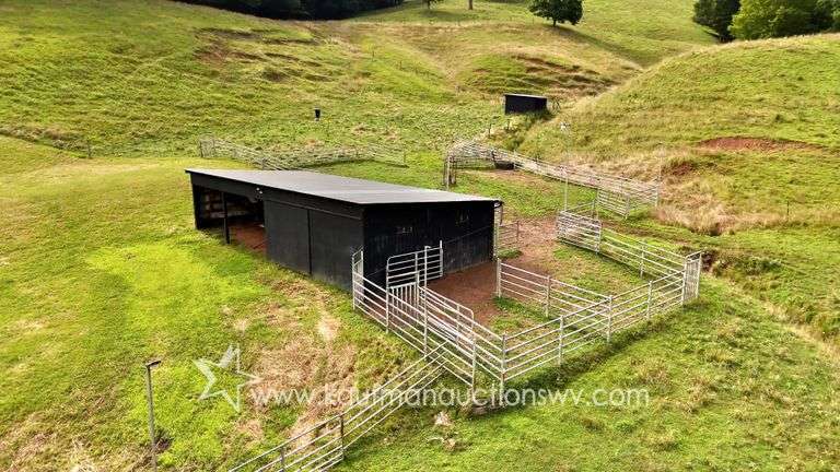 82 +/- Acre Lewis County Farm