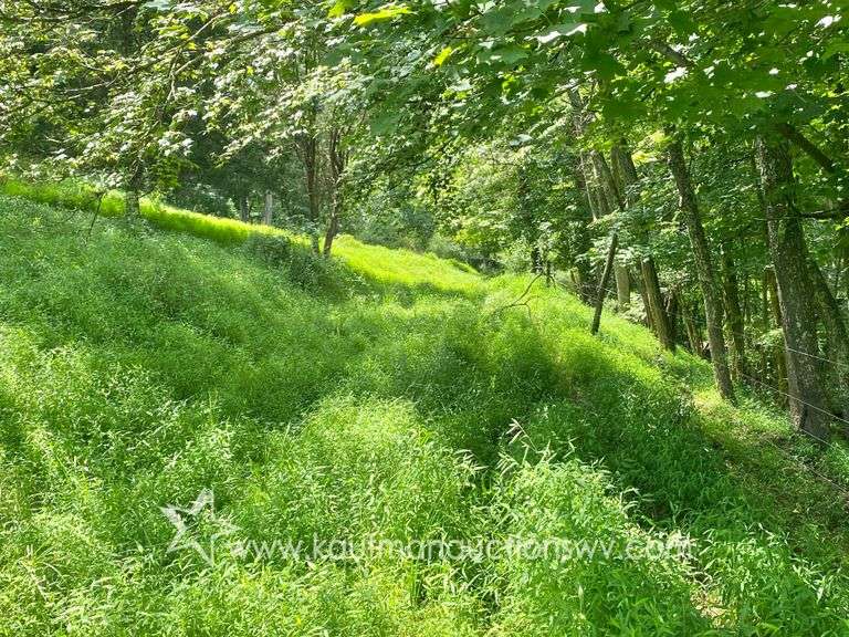 97.89 +/- Acres | 3 Bedroom, 2 Bath Home