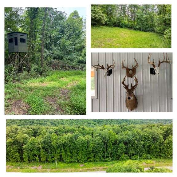 118 Acre Holmes County Land Auction Sold in Parcels $1,926,034 or $16,300/per acre