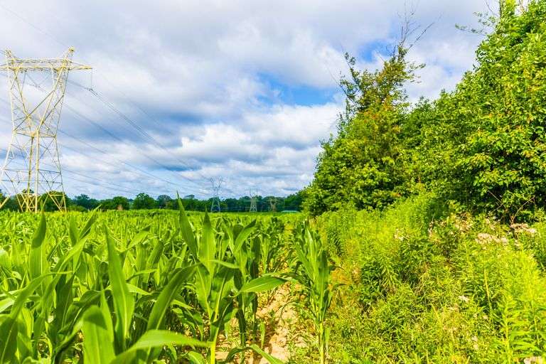8.98 Acres