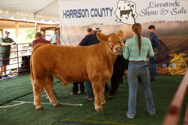 2025 Harrison County Youth Livestock Auction (WV)