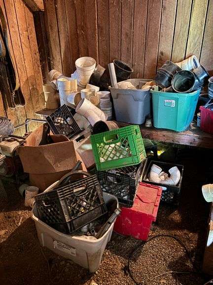 Contents of Live Auction