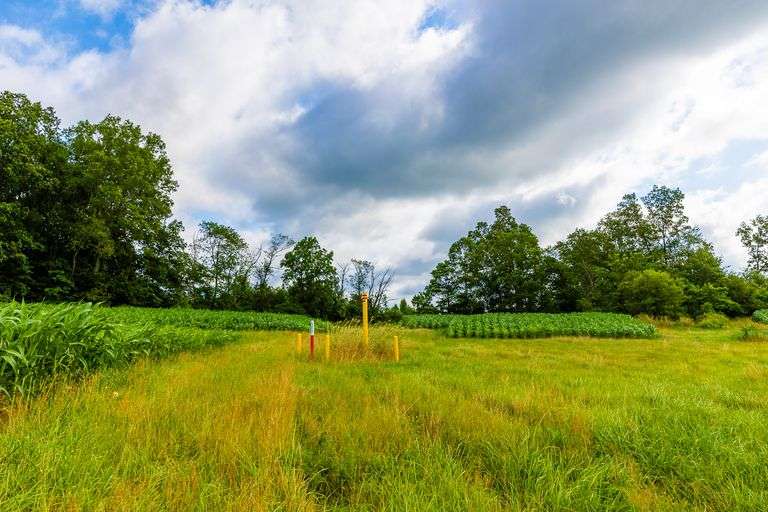 8.98 Acres