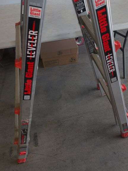 Little Giants extension ladder system