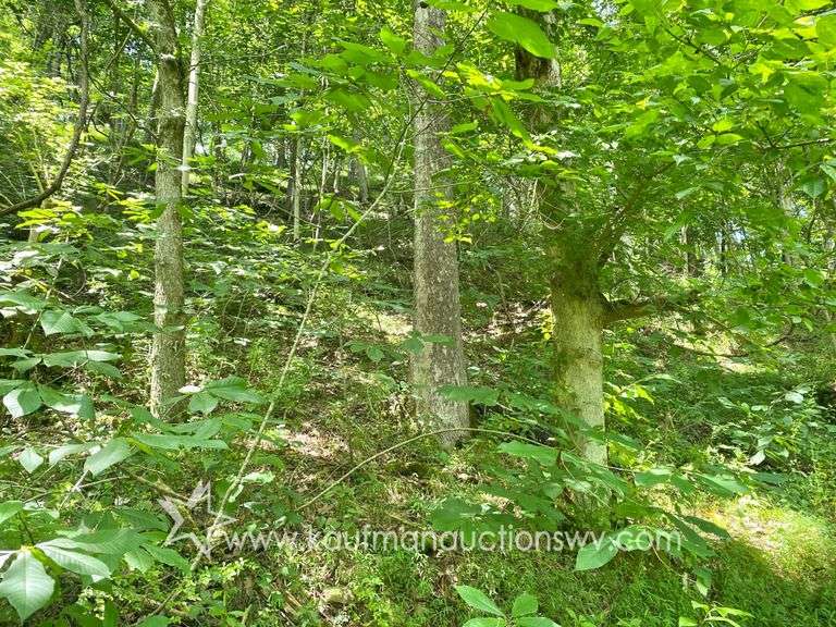 97.89 +/- Acres | 3 Bedroom, 2 Bath Home
