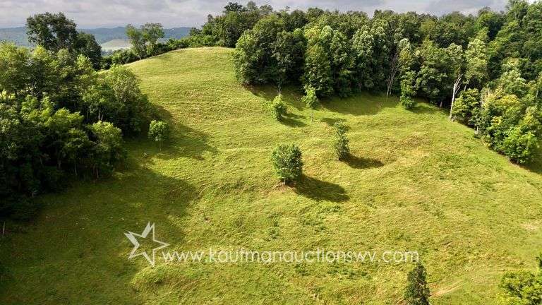 82 +/- Acre Lewis County Farm