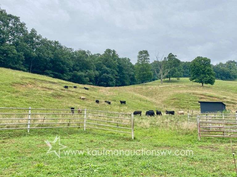 82 +/- Acre Lewis County Farm