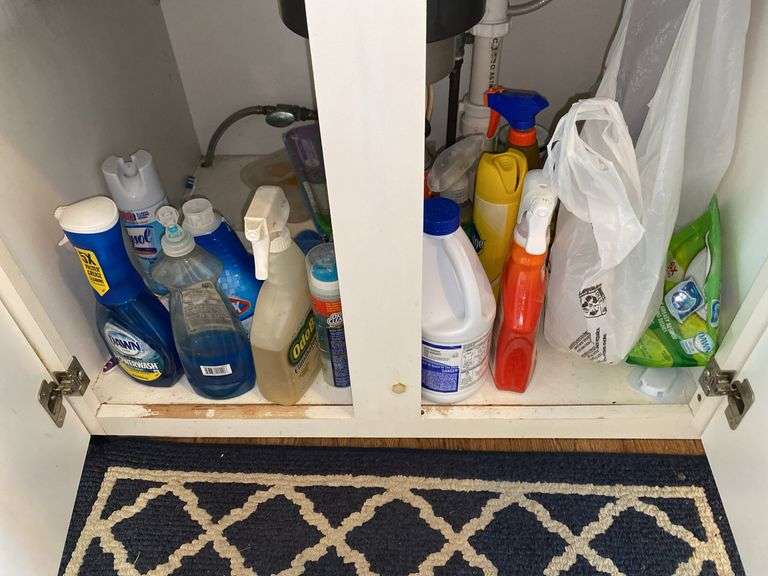Contents of Cabinet Under the Sink
