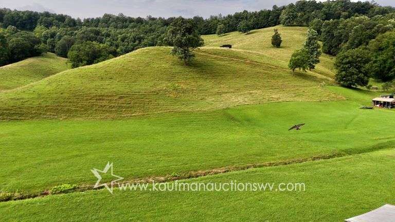 82 +/- Acre Lewis County Farm