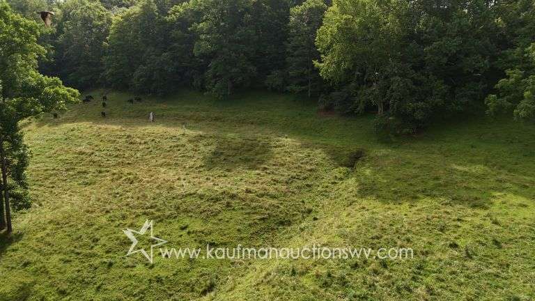 82 +/- Acre Lewis County Farm