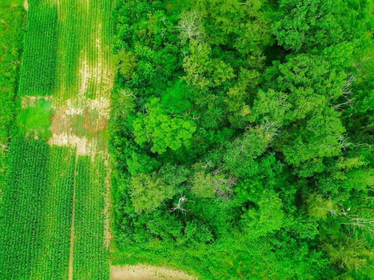 8.98 Acres