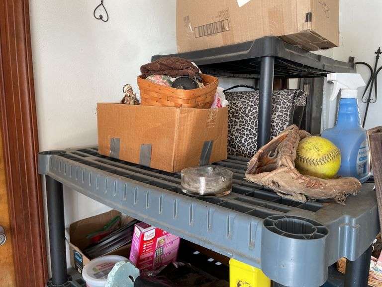 SHELF AND ITS CONTENTS (PICTURED)