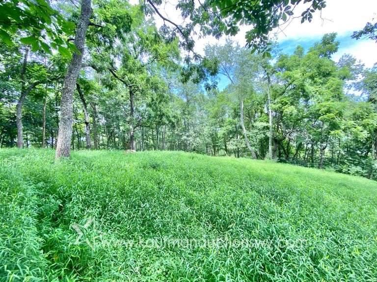 145.71 +/- Acres | Home Built in 1991 - 2 Bedroom, 2 Bath