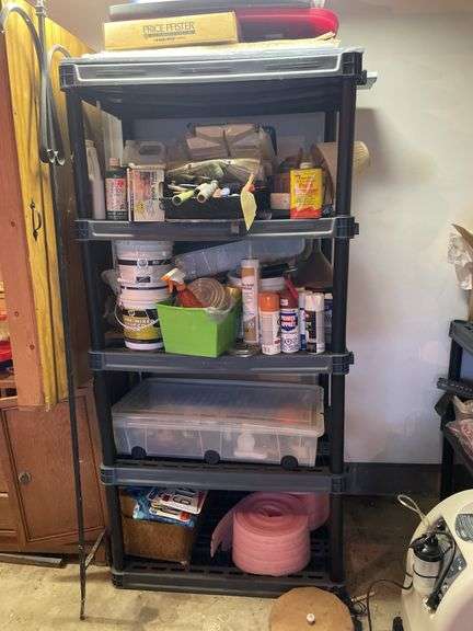 SHELF AND ITS CONTENTS (PICTURED)